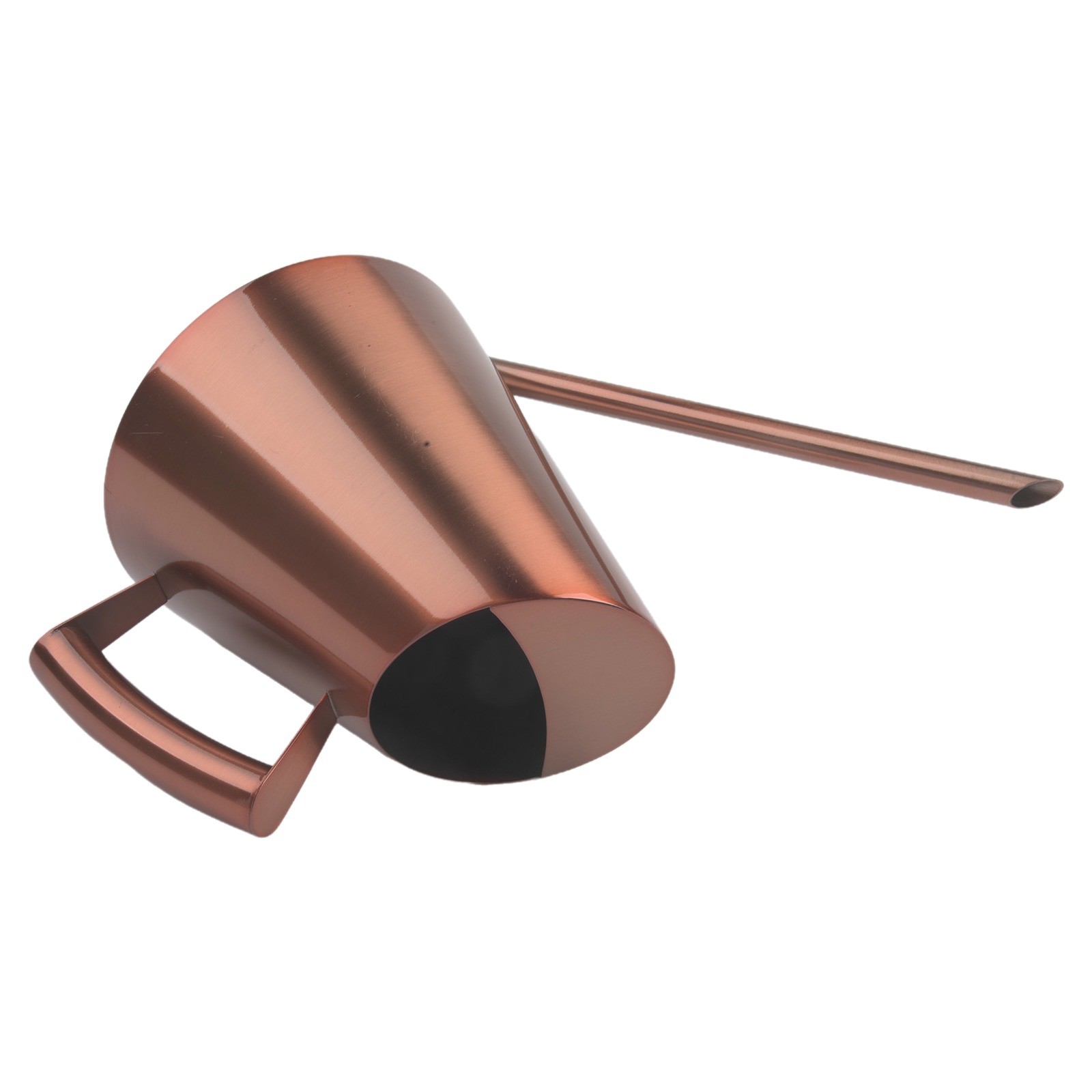 Aesthetically Pleasing Stainless Steel Watering Can with Extended Spout - Photo 43/69