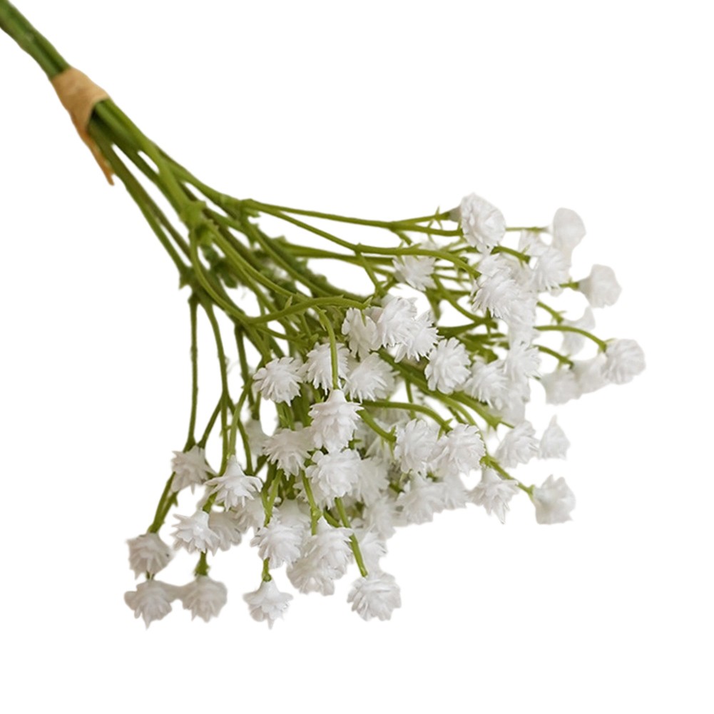 Foto 15 di 24
