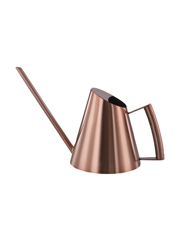 Long Spout Watering Can Crafted from Stainless Steel for Gardening Enthusiasts - Photo 21/57