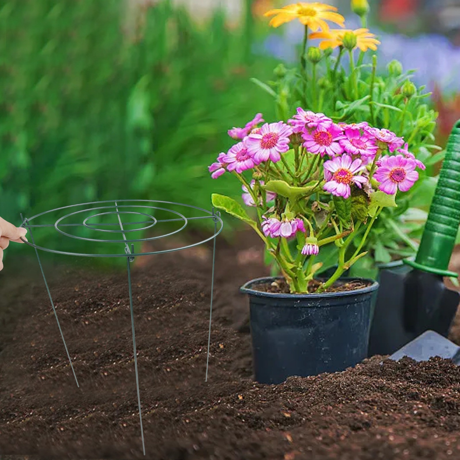 Lot de 3 soldes cages de support d'escalade pour plantes anneaux en métal pour jardiniers
