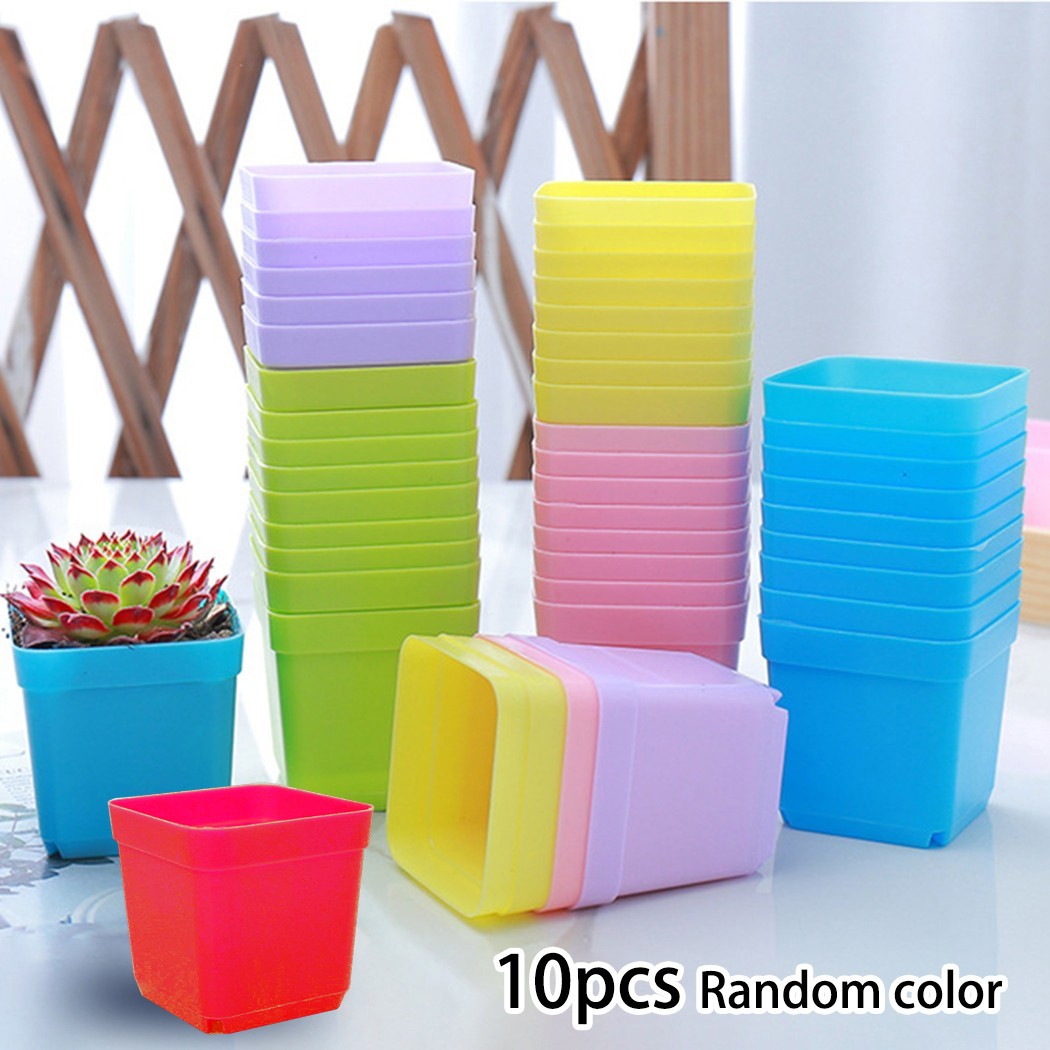 Stylish Mini Basin Succulent Plant Trays Pack of 10 for Home Office Decor - Zdjęcie 13 z 24