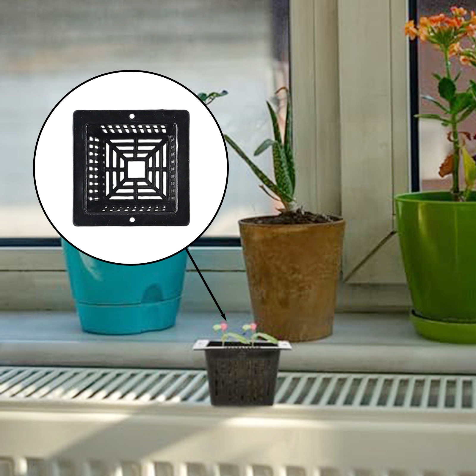Water Culture Plant Net Pots 10pcs for Root Development and Easy Transplant