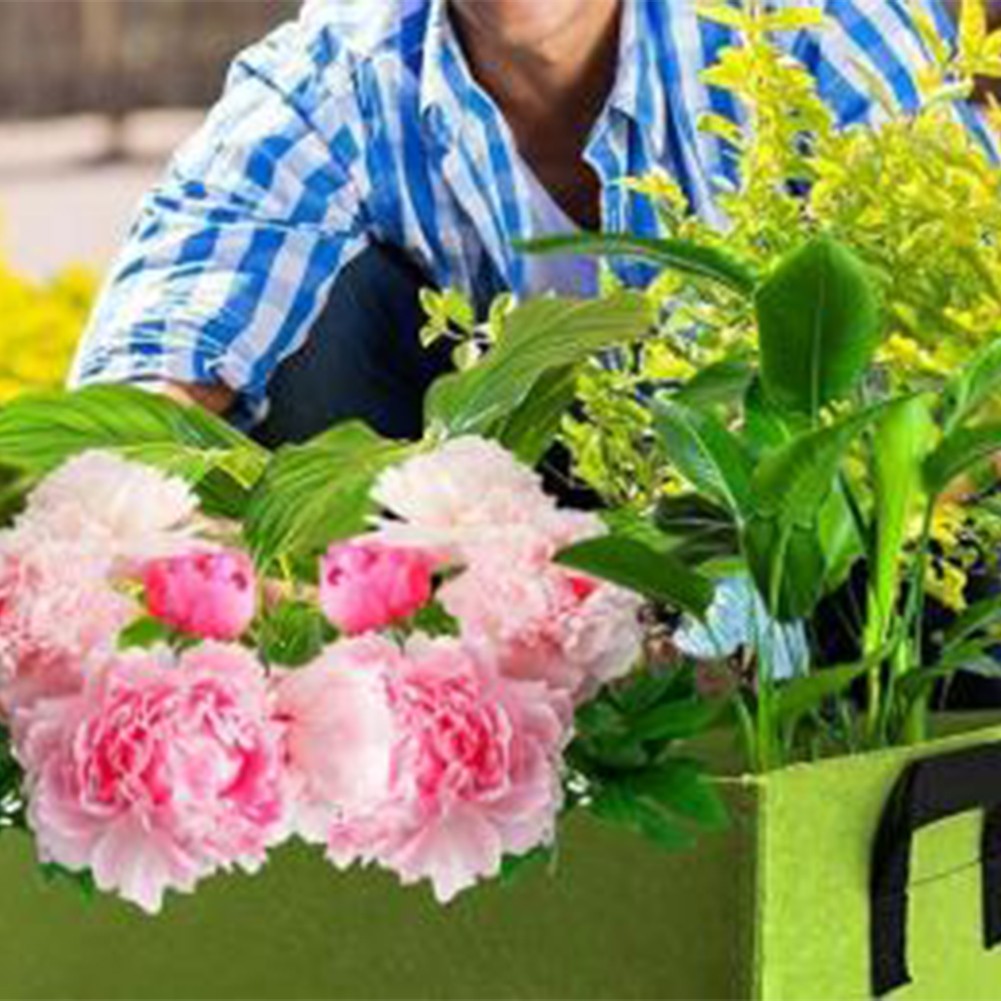 Rectangular Grow Bags for Vegetables 4Pcs Set with Ample Planting Space - Picture 16 of 28