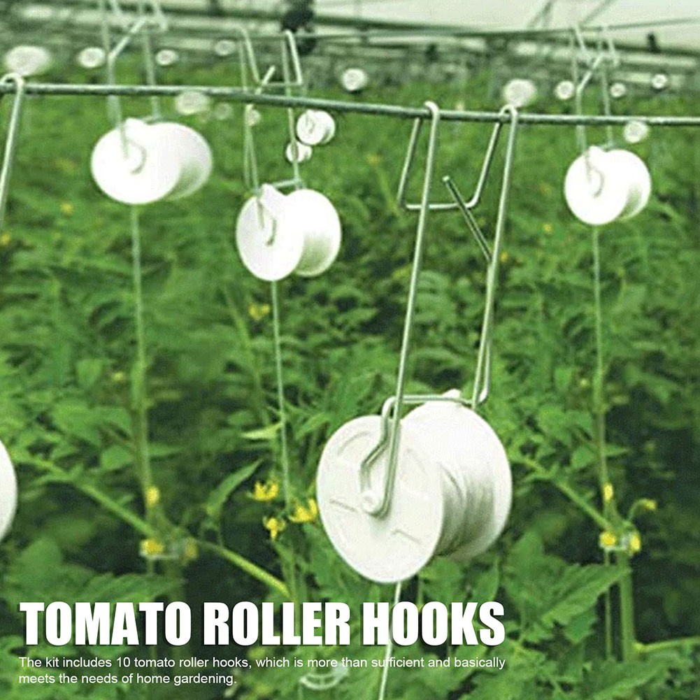 Crochet Tomate Support Efficace pour vente Plantes Grimpantes 2/6/12 Pièces Disponible