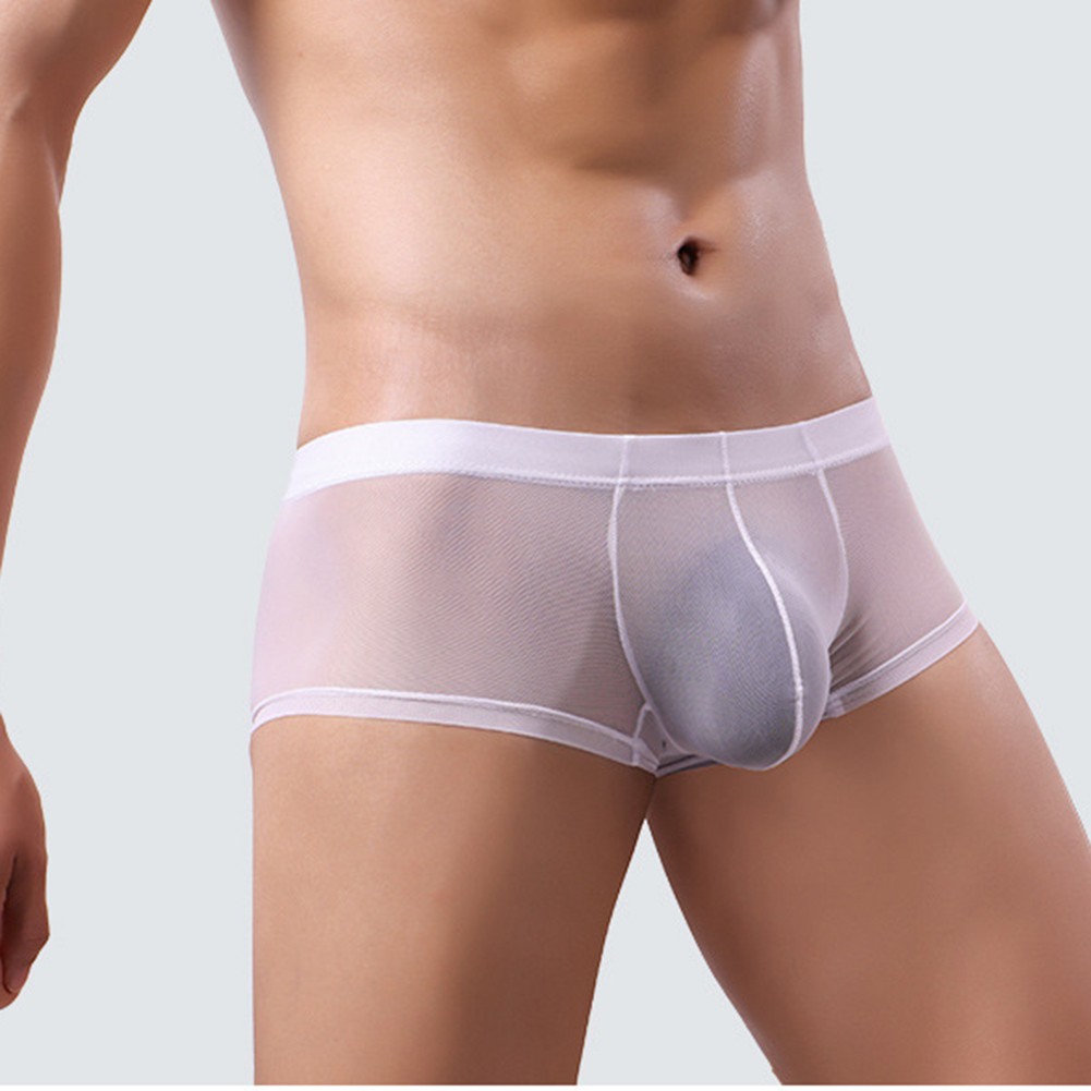 Comfort Fit Men's Mesh Underwear Mid Waist Transparent Boxer Shorts Selection - Picture 19 of 29