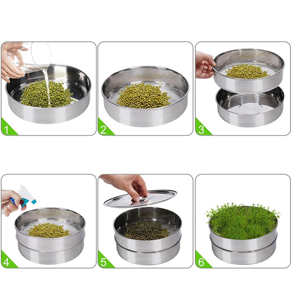 Soil-Free Germination Efficient achats Drainage System Clear Instructions Included