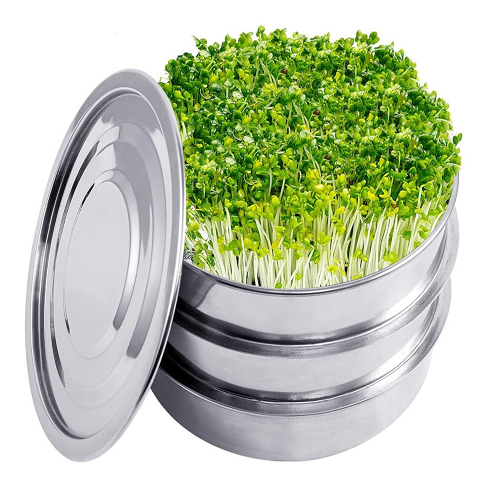 Soil-Free Germination Efficient achats Drainage System Clear Instructions Included