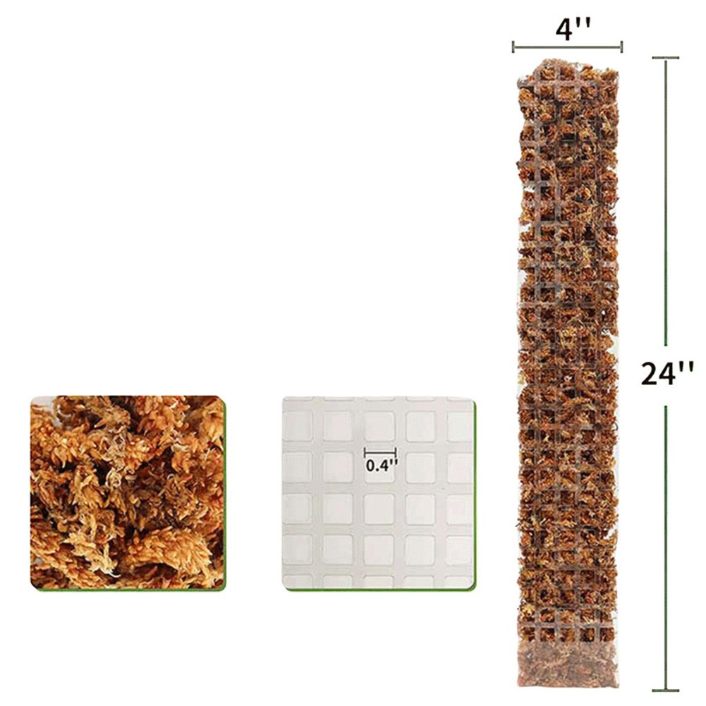Collection Bâtons de mousse efficaces pour lescalade intérieure et extérieure pour le soutien des plantes