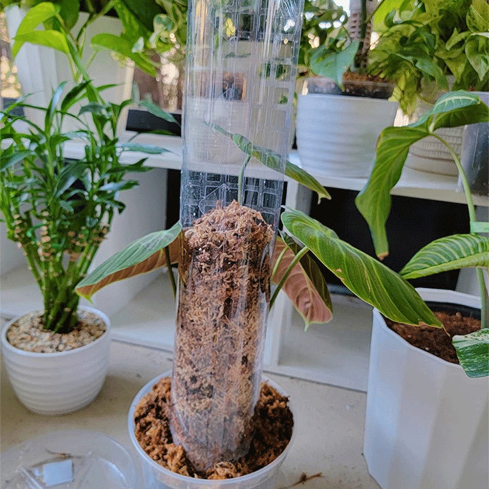 Bâtons de mousse boutiques efficaces pour lescalade intérieure et extérieure pour le soutien des plantes