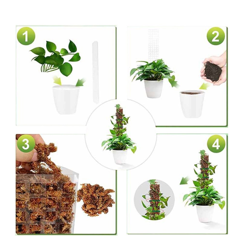 Bâtons de mousse efficaces pour lescalade intérieure et extérieure pour le soutien soldes des plantes
