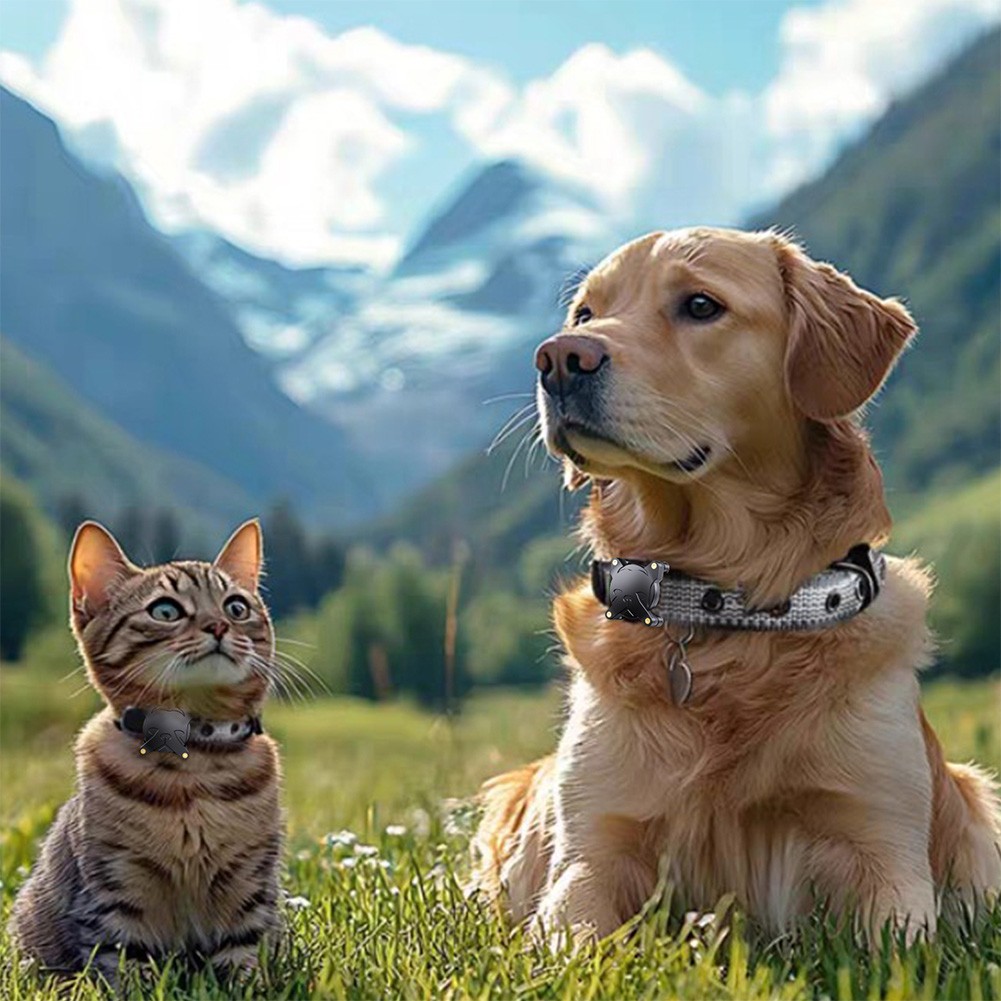 ABS Schutzhülle für AirTag Wasserdicht Hundehalsband Halter für den tägliche - Zdjęcie 2 z 14