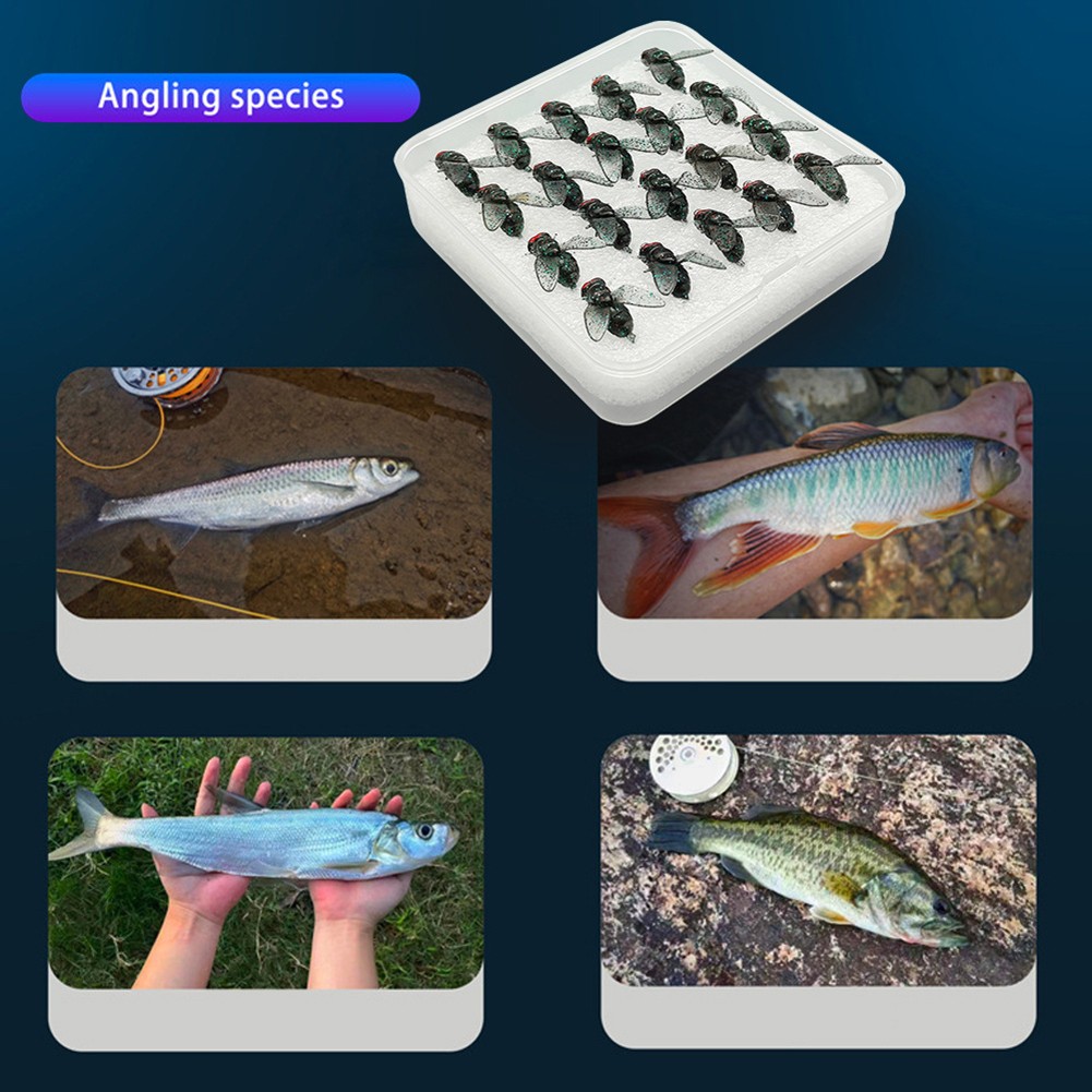 effective fishing lures LITTMA Bass Topwater Popper - Top Water Lures for Bass Anglers Baits Fishing Lures Effective For