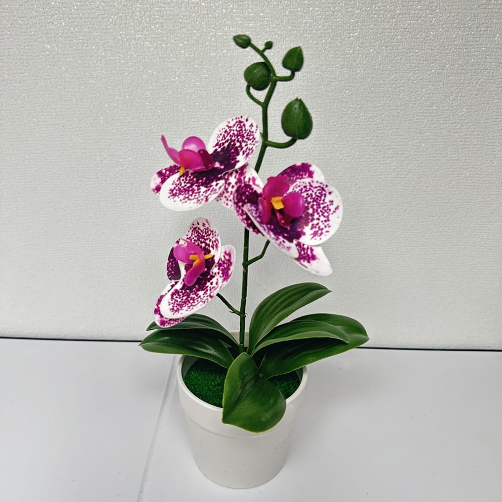 Bonsai realista de tres hojas Phalaenopsis película 3D flor falsa para decoración del hogar - Imagen 23 de 42