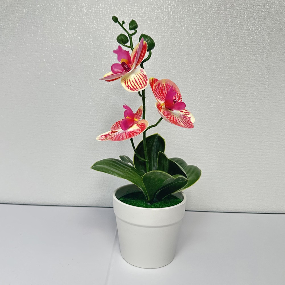 Bonsai realista de tres hojas Phalaenopsis película 3D flor falsa para decoración del hogar - Imagen 27 de 42