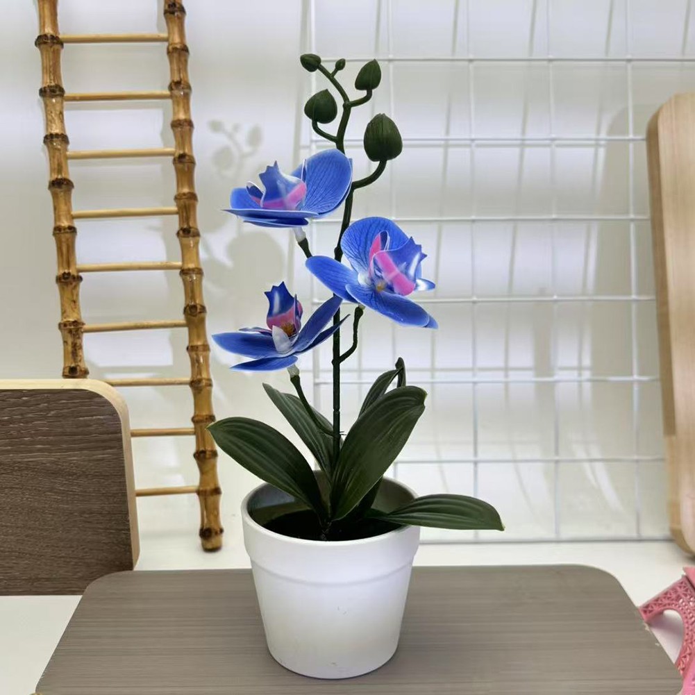 Bonsai realista de tres hojas Phalaenopsis película 3D flor falsa para decoración del hogar - Imagen 39 de 42