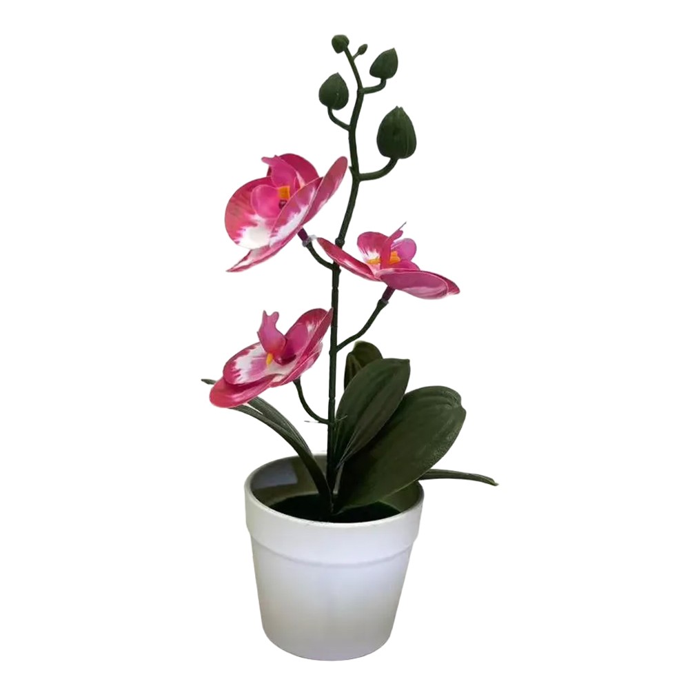 Bonsai realista de tres hojas Phalaenopsis película 3D flor falsa para decoración del hogar - Imagen 40 de 42