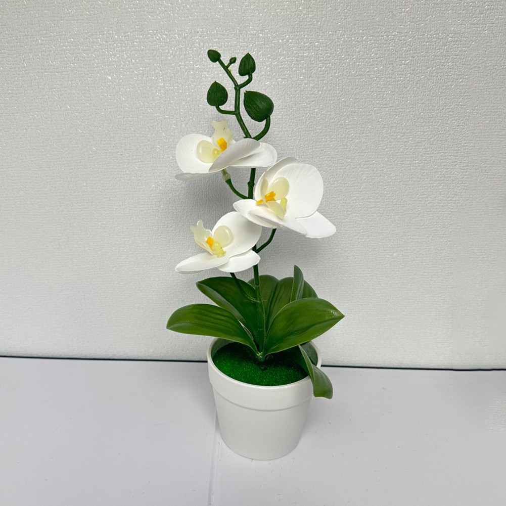 Bonsai realista de tres hojas Phalaenopsis película 3D flor falsa para decoración del hogar - Imagen 15 de 42