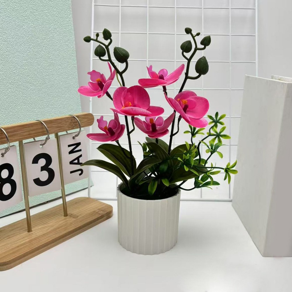 Bild 35 von 49