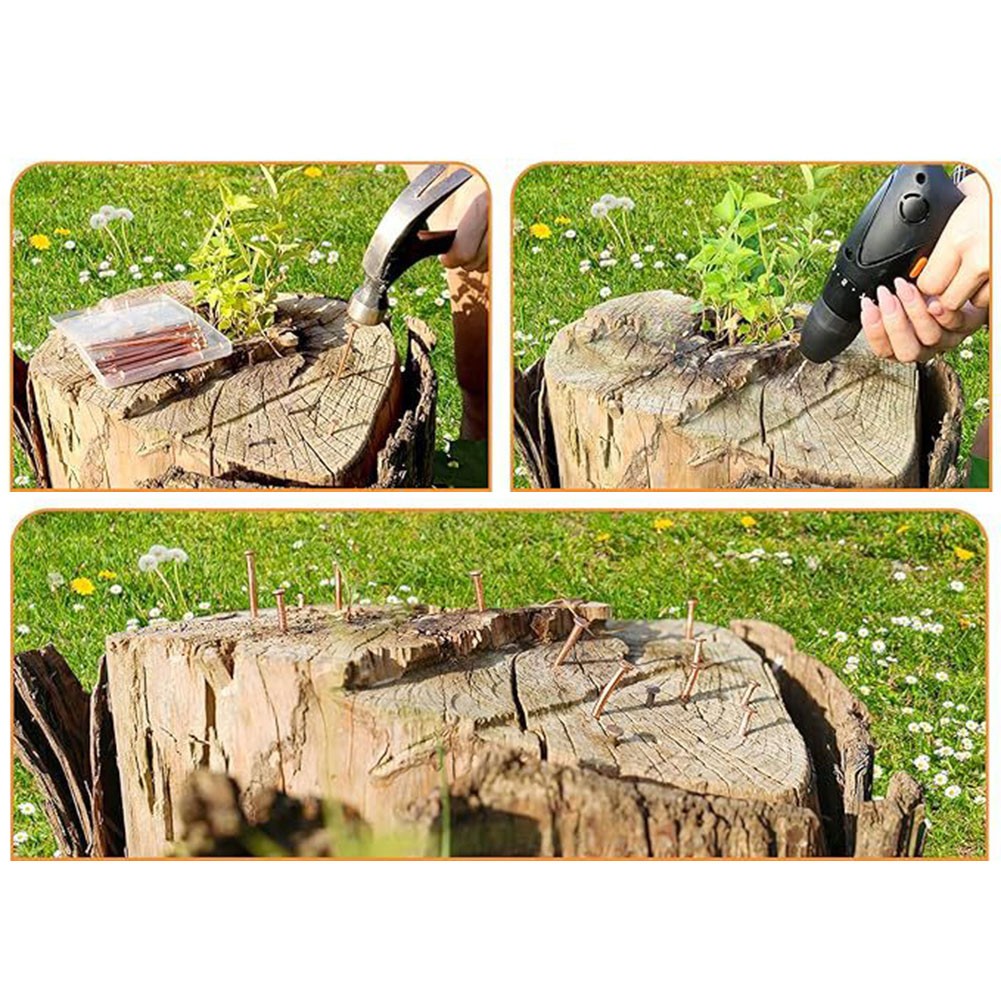 Stump Removal Copper Nails 20PCS for Easy Application and Effectiveness