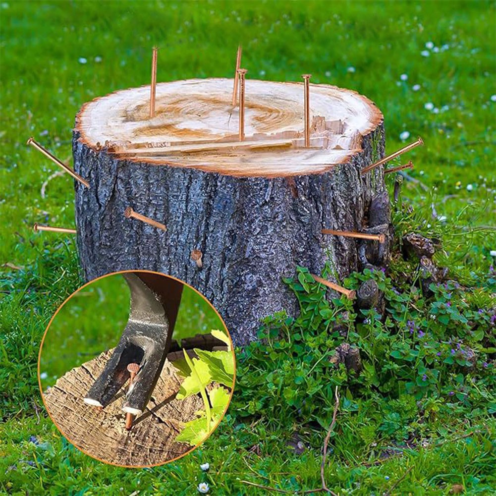 Stump Removal Copper Nails 20PCS for Easy Application and Effectiveness