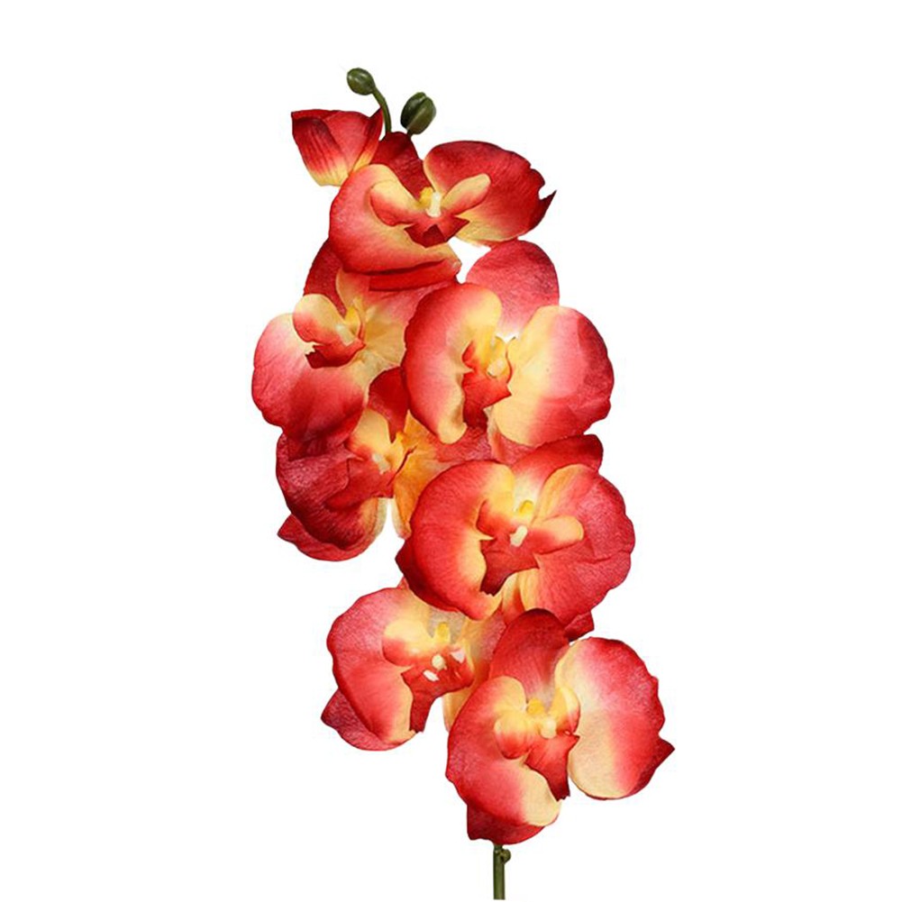 Fresh looking 8 Head Phalaenopsis Orchids for Luxurious Home and Event Decor