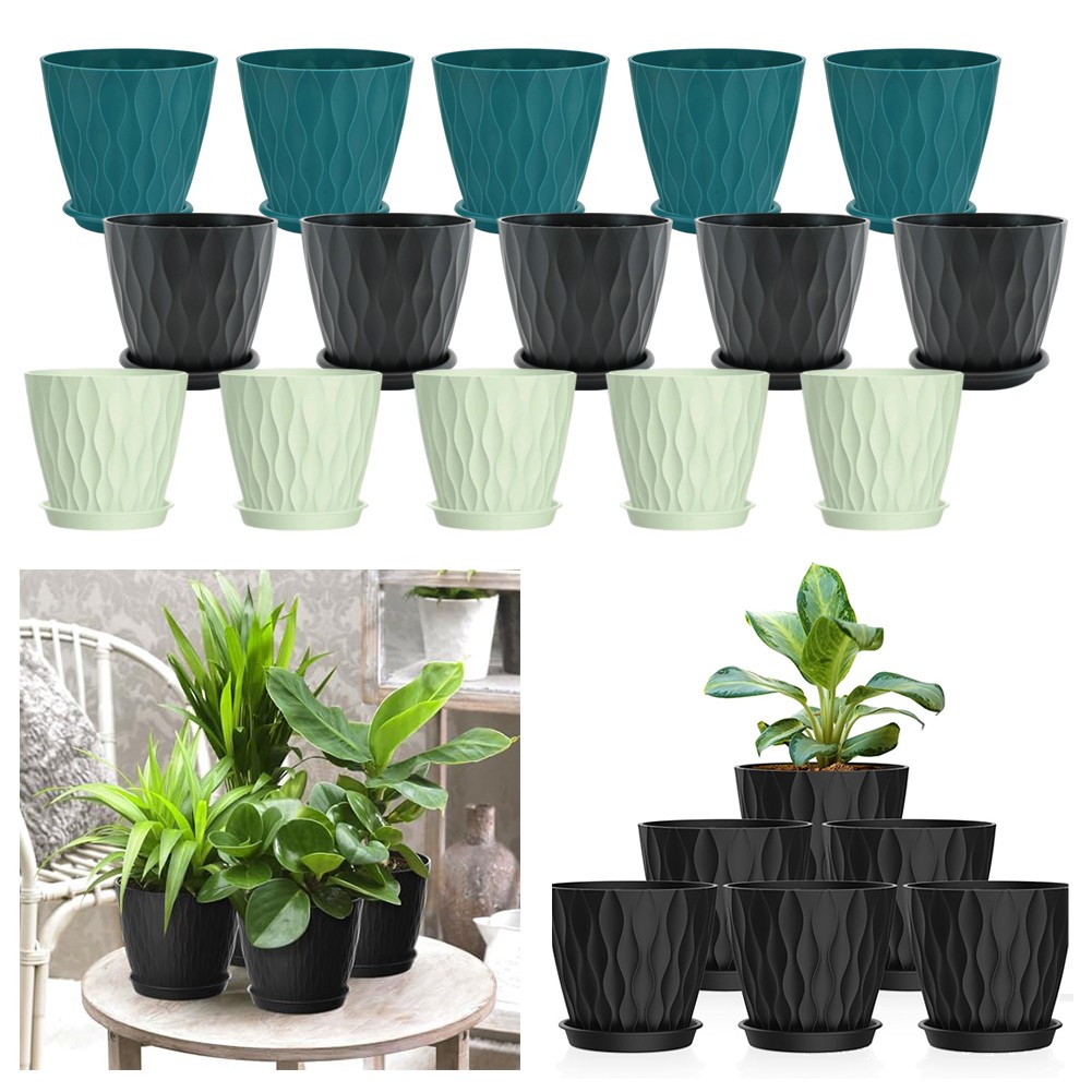 tropische zimmerpflanzen kaufen Tropische Pflanzen Mischung inkl. Ziertpfe, grau (x4) - Chamaedorea,  Syngonium, Musa, Coffea 'Fresh'
