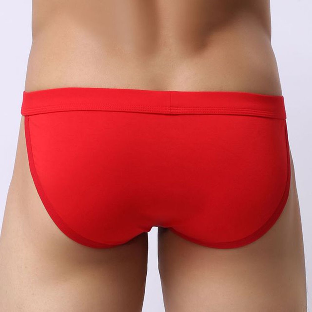 Comfortable Men's Briefs Pouch Underwear Soft Modal Tanga Shorts Collection - Picture 12 of 19