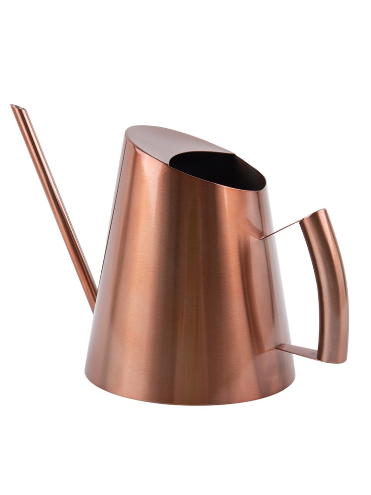 Long Spout Watering Can Crafted from Stainless Steel for Gardening Enthusiasts - Photo 43/57