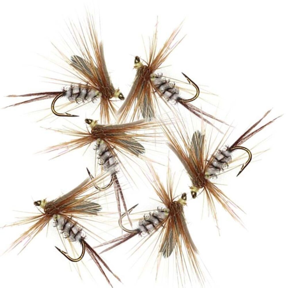 Kit de pêche à la mouche truite et bar avec 8 mouches humides sèches efficace - Photo 21/28