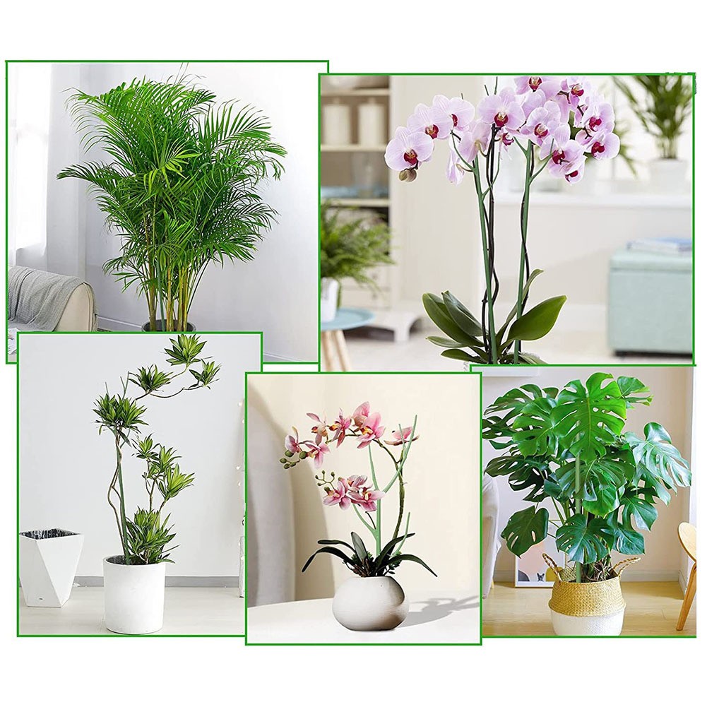 Monstera Support Set 5 fr robuste Clips fr Kletterpflanzen Gartengerte |  eBay.de