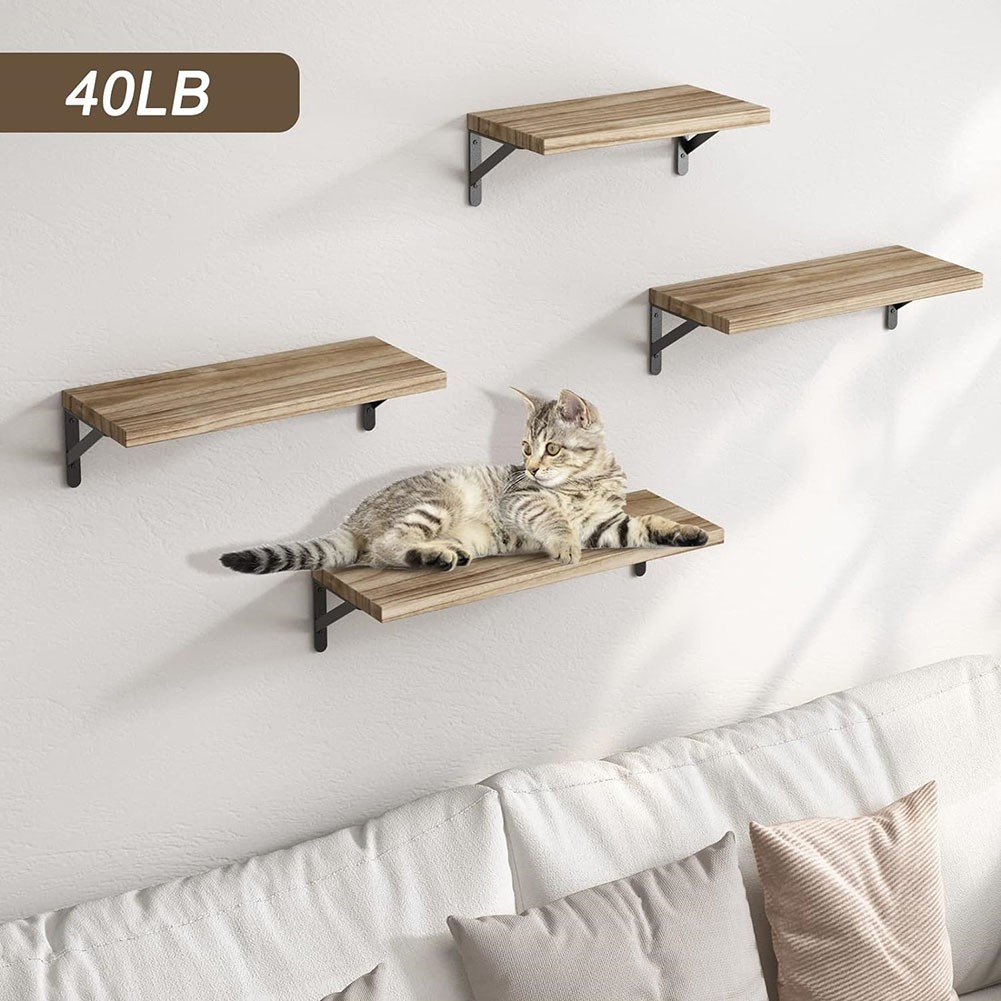 Bild 23 von 24