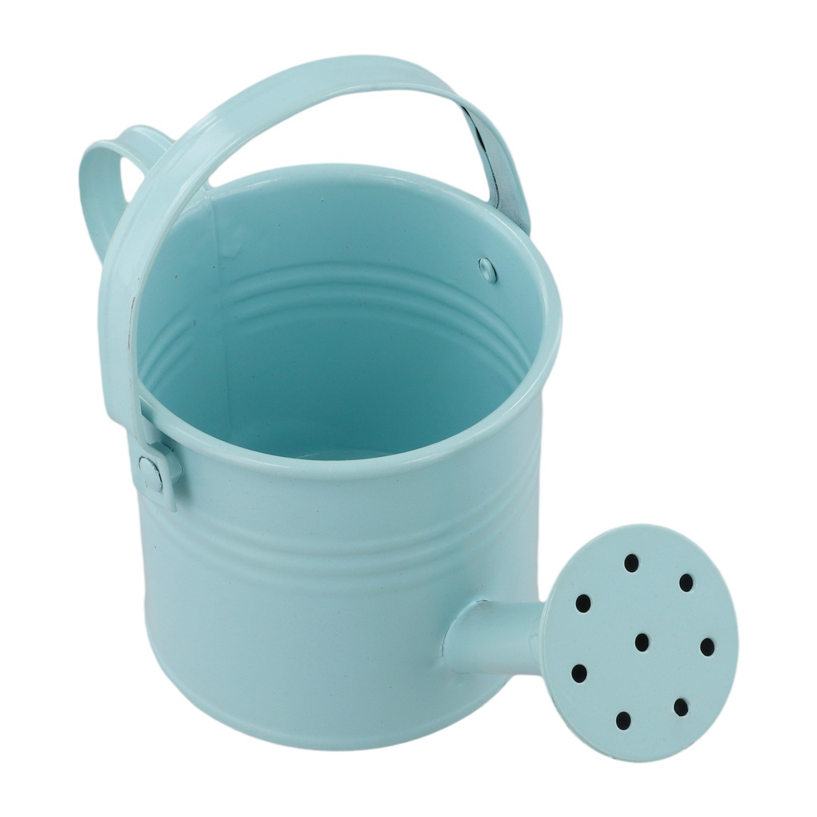 Annaffiatoio Riutilizzabile per Giardini Bocca Lunga Design Aumenta Umidità Ros - Foto 57 di 67