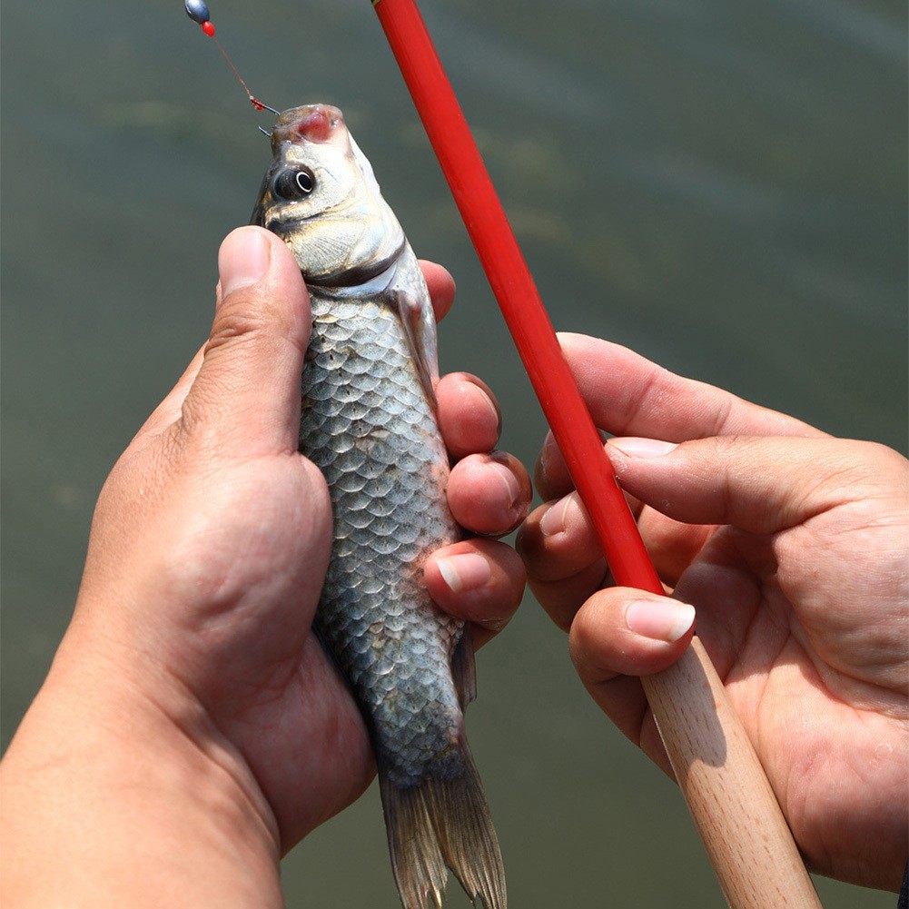 Compact Lightweight Fishing Rod with High Sensitivity for Better Catch