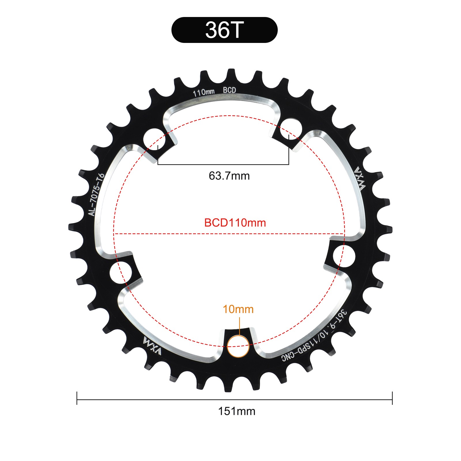 Chainwheel Designed Specifically for Optimal Performance on Road Bikes