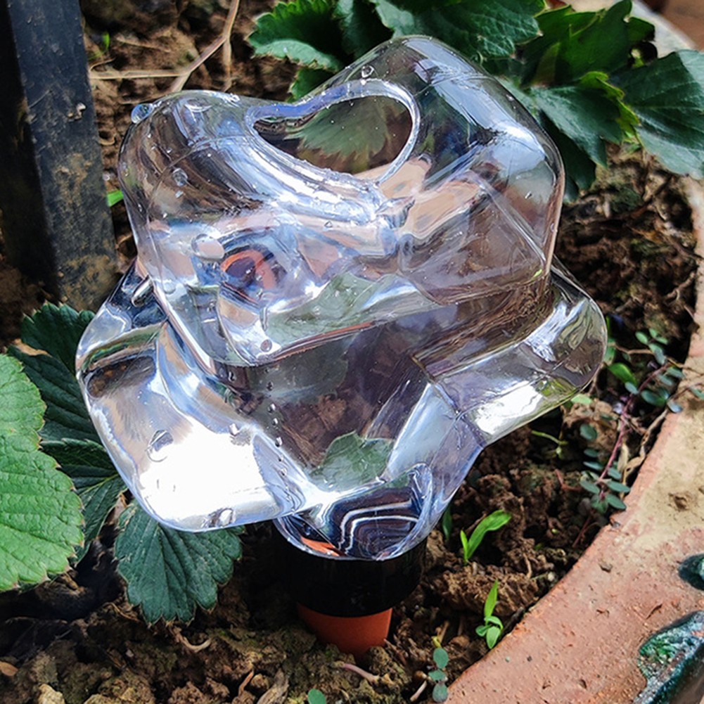 Automatic Hydration Solution Clear Self Watering Globes for Indoor Use - Picture 23 of 26