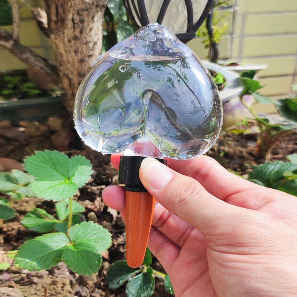 Automatic Hydration Solution Clear Self Watering Globes for Indoor Use - Picture 15 of 26