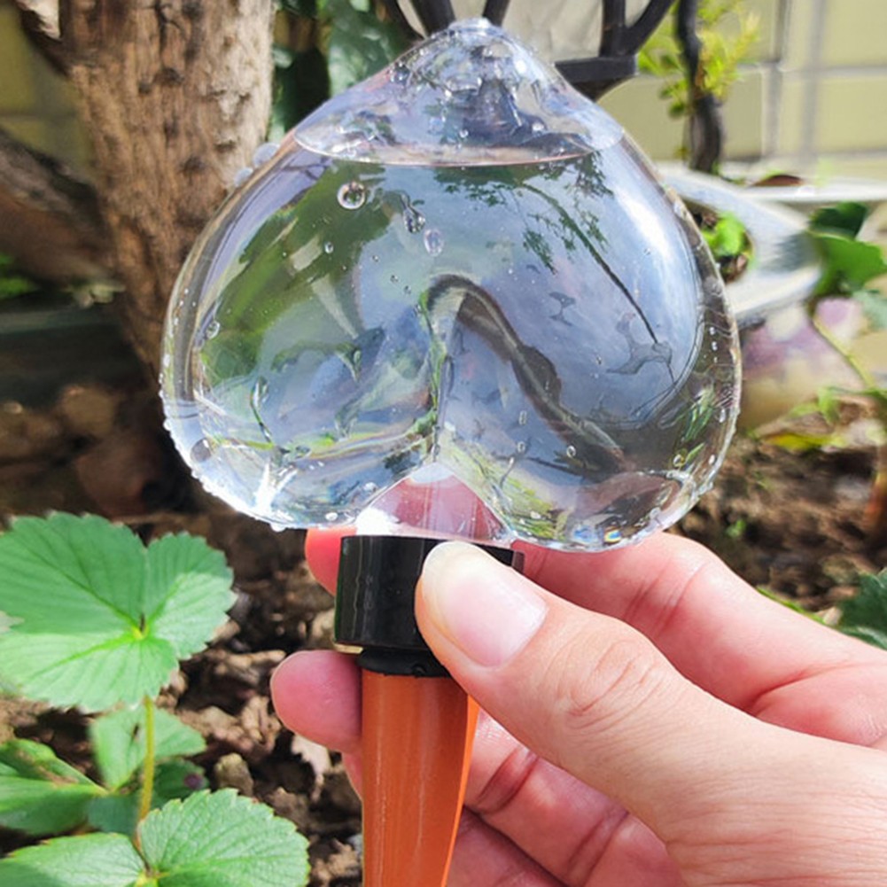 Automatic Hydration Solution Clear Self Watering Globes for Indoor Use - Picture 16 of 26