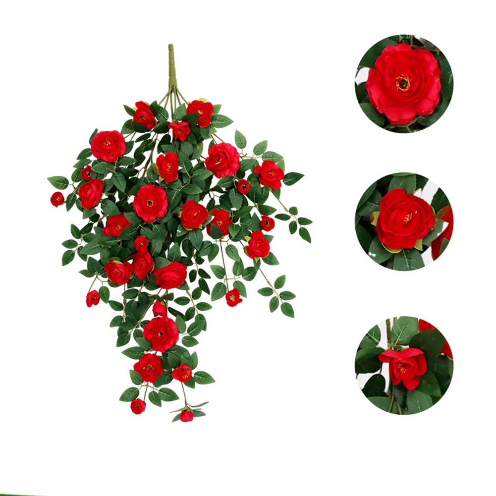 Imagen 10 de 24