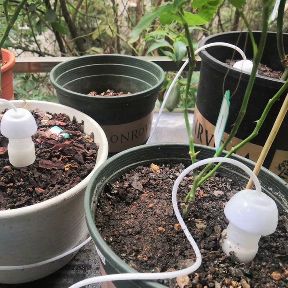 Automatic Watering System Efficient Plant Care Consistent Moisture Supply - Picture 21 of 33