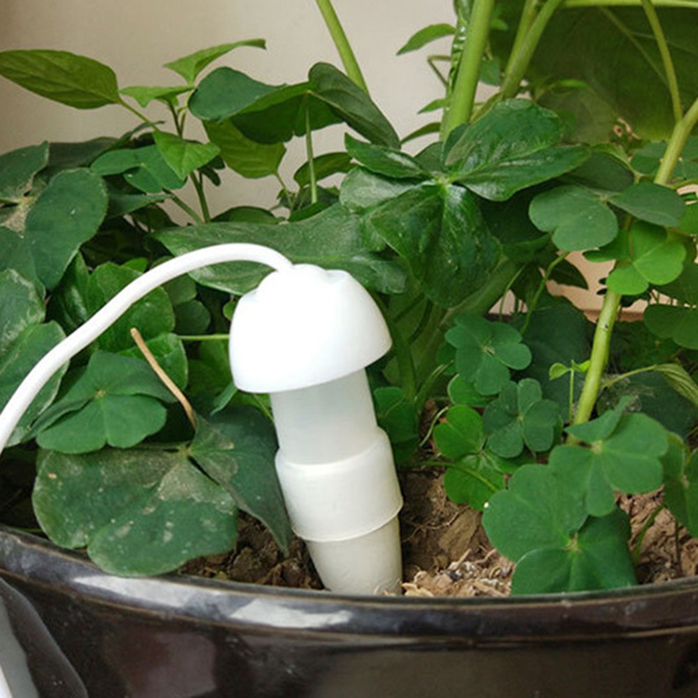 Automatic Watering System Efficient Plant Care Consistent Moisture Supply - Picture 22 of 33