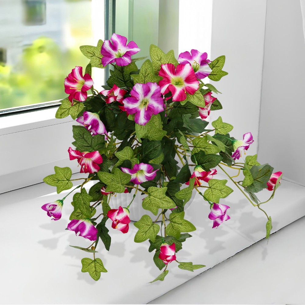 Bild 30 von 34