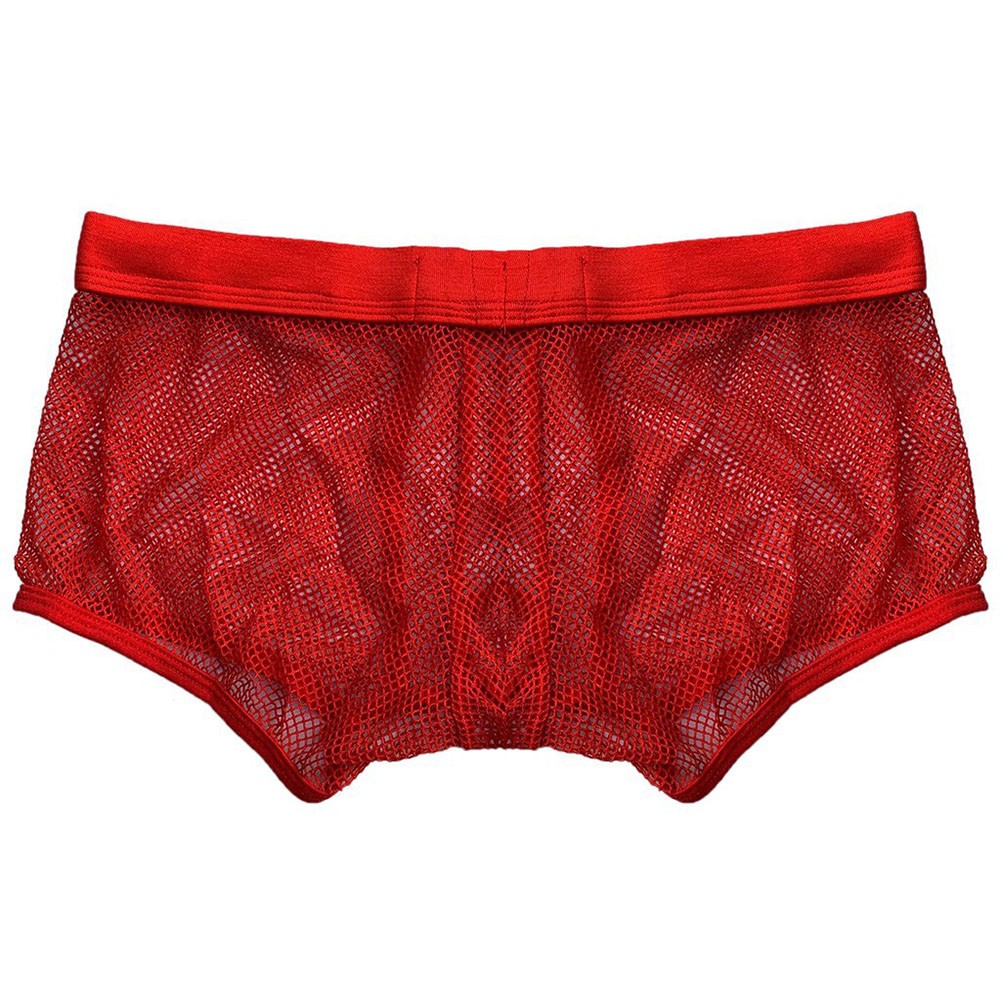 Men Mesh Underwear Breathable Comfort Boxer Briefs with Pouch Soft Fabric - Picture 16 of 23
