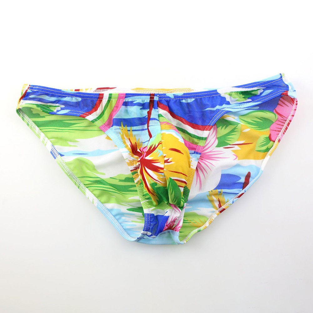 Mens Low Waist Soft Underpants Breathable Mesh Underwear Thin Pouch Briefs
