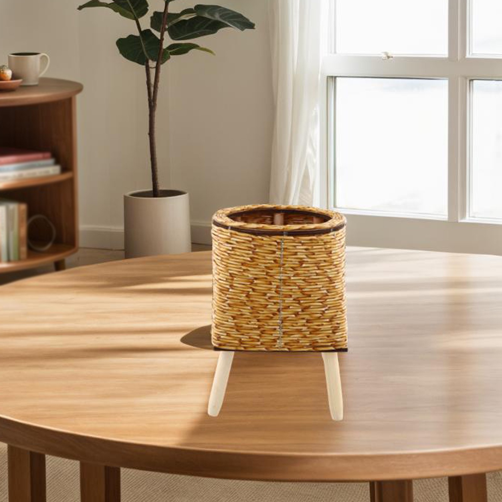 Desktop Plant Storage Compact Design Plant Storage Solution Easy Rearrangement