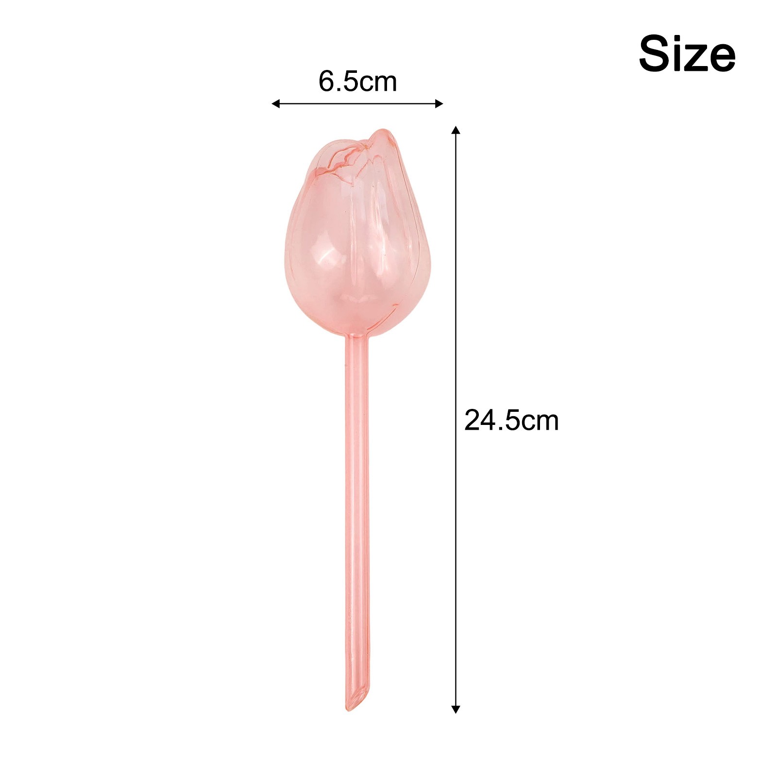 Stylish 10Pcs Tulip Watering Devices Automatic Solution for Plant Hydration