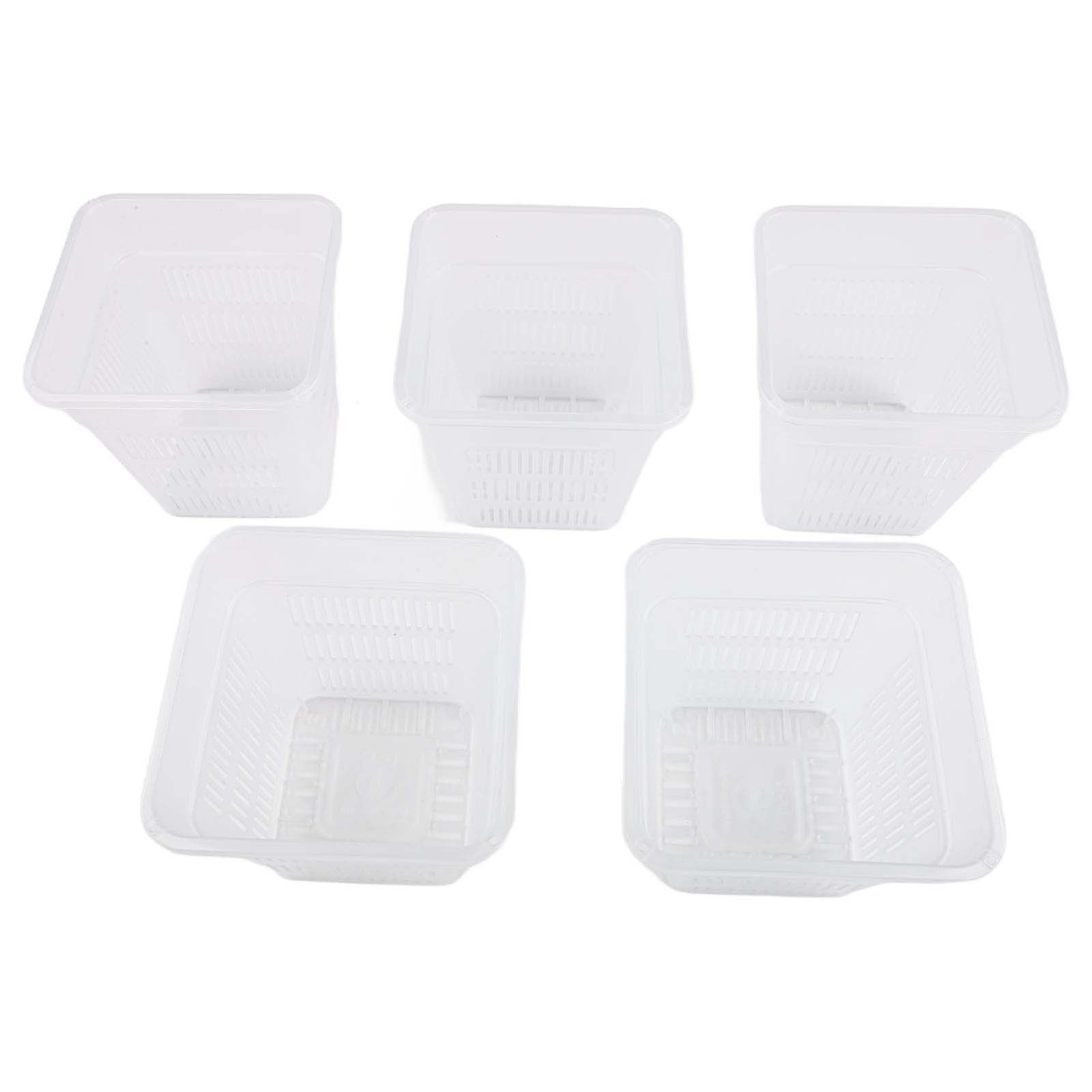 Square Orchid Pot with Innovative Design for Optimal Sunlight Exposure