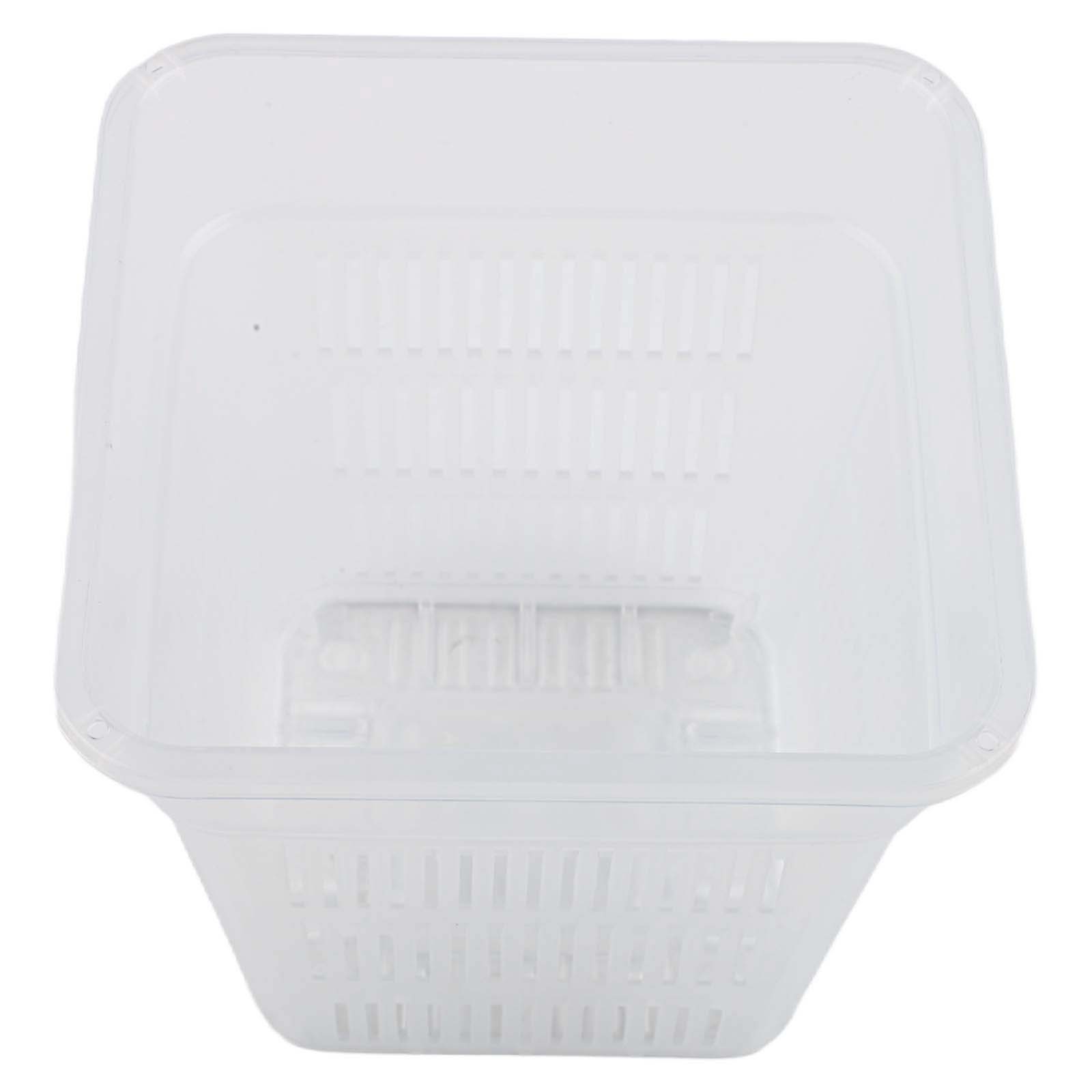 Square Orchid Pot with Innovative Design for Optimal Sunlight Exposure