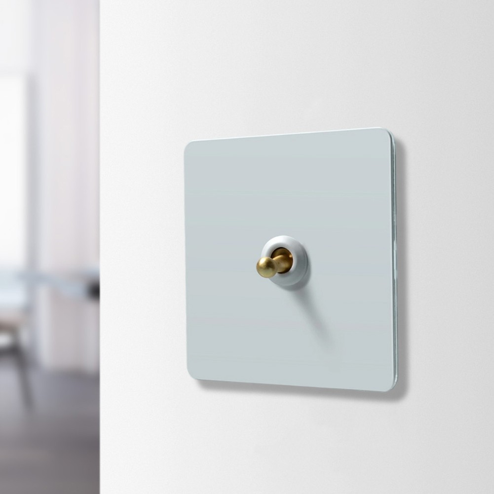Stylish Stainless Steel Wall Switch with Brass Lever for Light Control