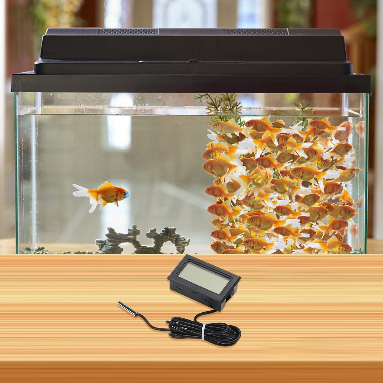 Waterproof Digital Thermometer 5PCS Set for Reliable Temperature Measurement