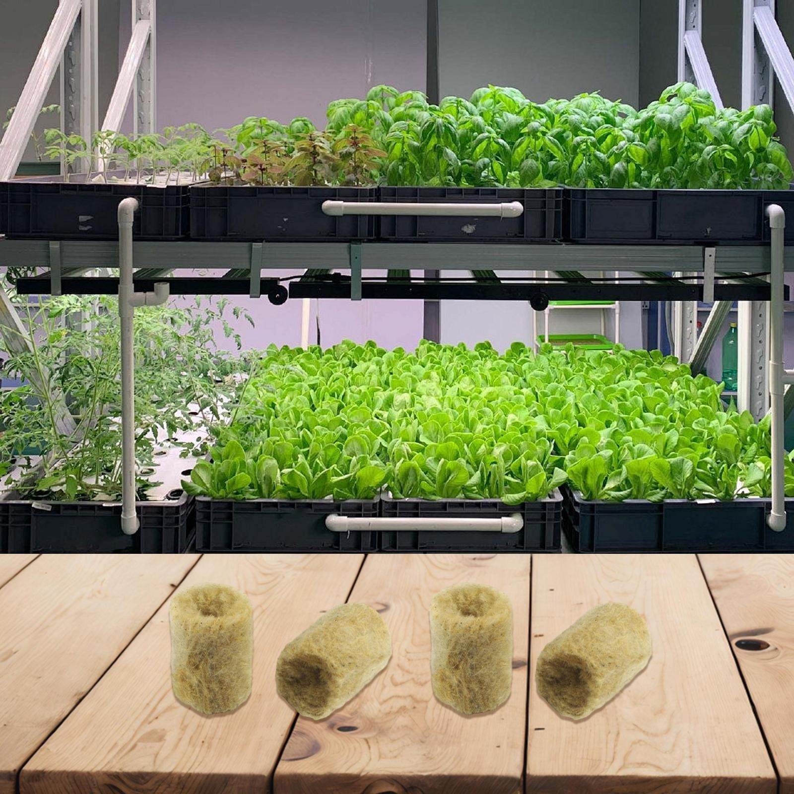 Optimal Aeration and Moisture Retention Rock Wool Substrates for Plants